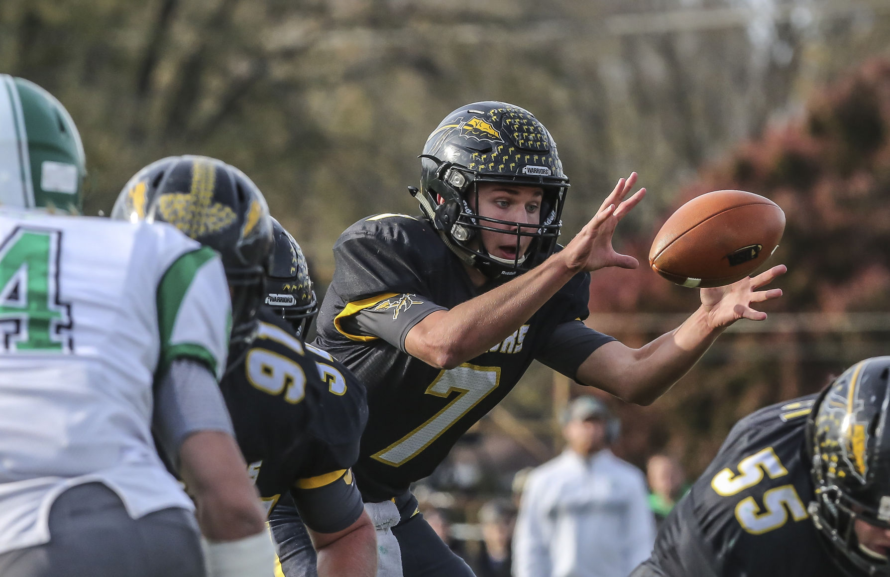 decgal tuscola 17 111017.JPG